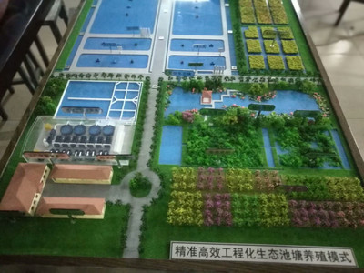 西藏農科院水產養殖數字化 科技賦能雪域高原，設計譜寫新篇章